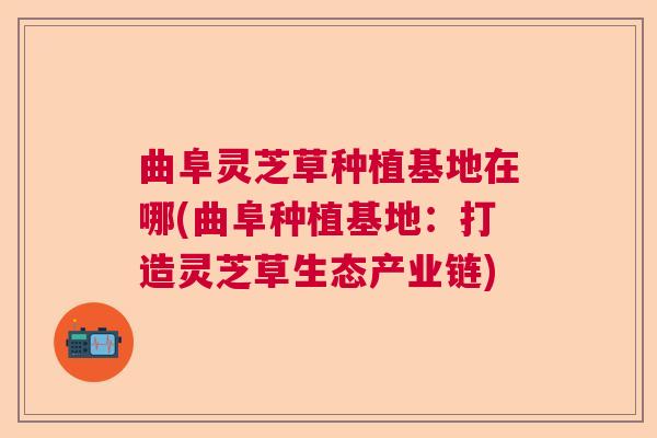 曲阜灵芝草种植基地在哪(曲阜种植基地：打造灵芝草生态产业链)