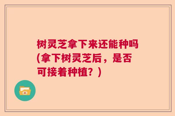 树灵芝拿下来还能种吗(拿下树灵芝后，是否可接着种植？)