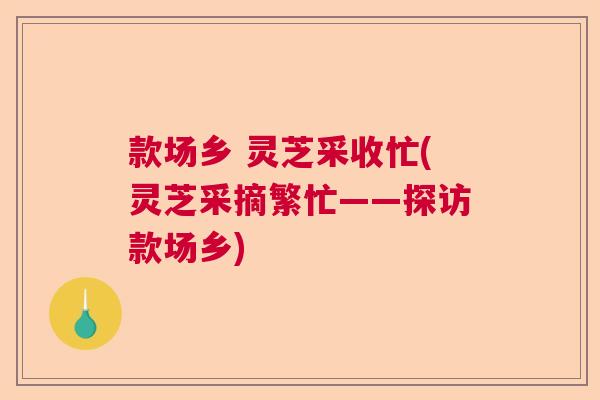 款场乡 灵芝采收忙(灵芝采摘繁忙——探访款场乡)