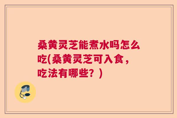 桑黄灵芝能煮水吗怎么吃(桑黄灵芝可入食，吃法有哪些？)