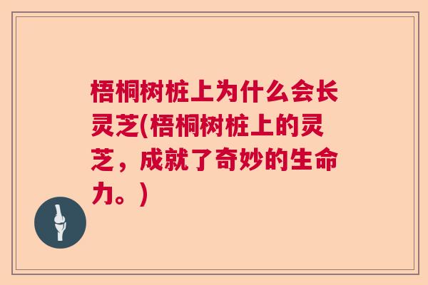 梧桐树桩上为什么会长灵芝(梧桐树桩上的灵芝，成就了奇妙的生命力。)