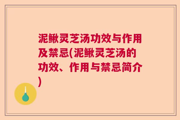泥鳅灵芝汤功效与作用及禁忌(泥鳅灵芝汤的功效、作用与禁忌简介)