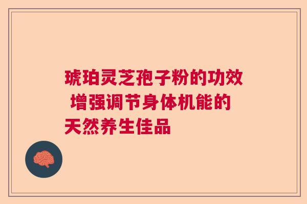琥珀灵芝孢子粉的功效 增强调节身体机能的天然养生佳品