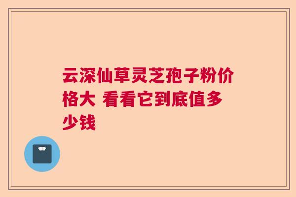 云深仙草灵芝孢子粉价格大 看看它到底值多少钱