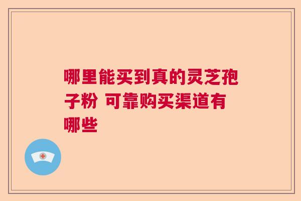 哪里能买到真的灵芝孢子粉 可靠购买渠道有哪些