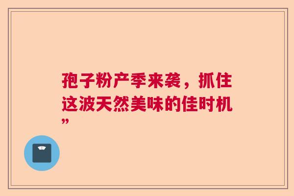 孢子粉产季来袭，抓住这波天然美味的佳时机”