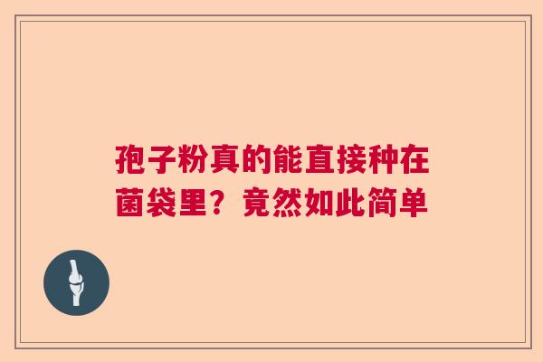 孢子粉真的能直接种在菌袋里？竟然如此简单