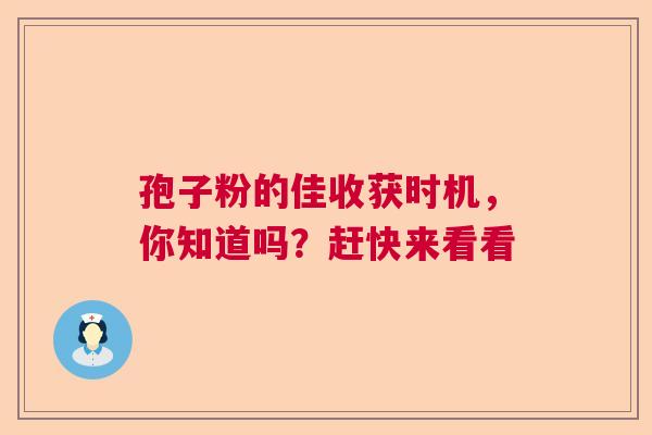 孢子粉的佳收获时机，你知道吗？赶快来看看