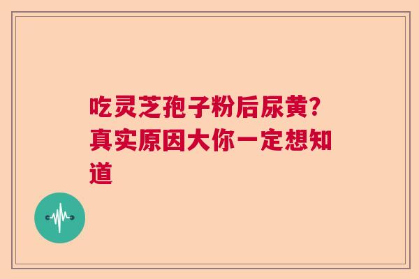 吃灵芝孢子粉后尿黄？真实原因大你一定想知道