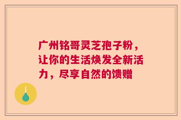 广州铭哥灵芝孢子粉，让你的生活焕发全新活力，尽享自然的馈赠