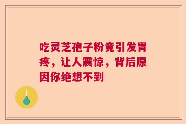 吃灵芝孢子粉竟引发胃疼，让人震惊，背后原因你绝想不到