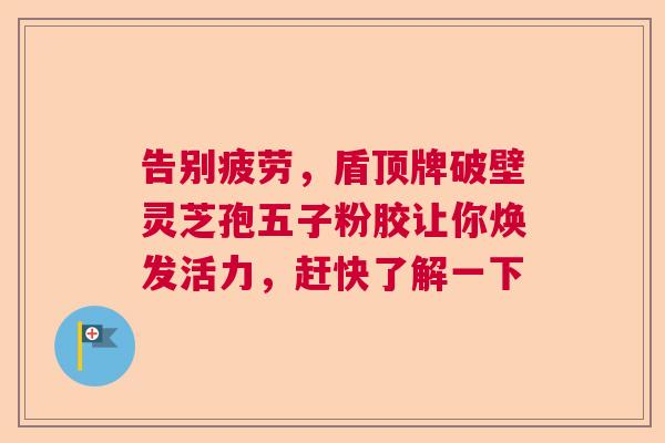 告别疲劳，盾顶牌破壁灵芝孢五子粉胶让你焕发活力，赶快了解一下