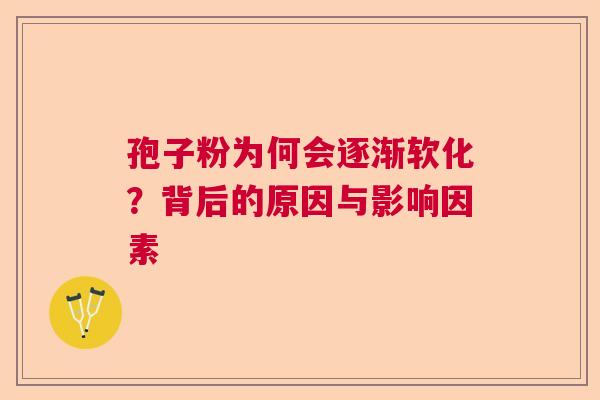 孢子粉为何会逐渐软化？背后的原因与影响因素