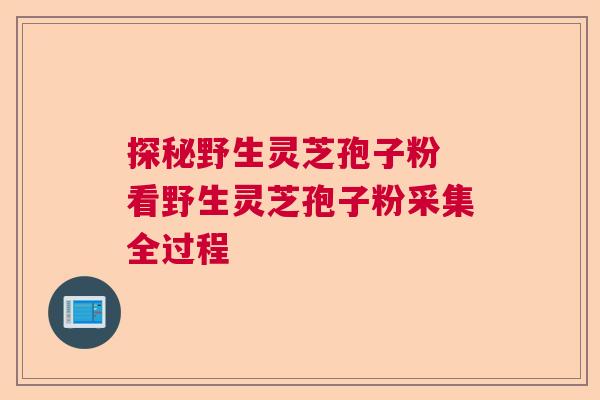 探秘野生灵芝孢子粉 看野生灵芝孢子粉采集全过程