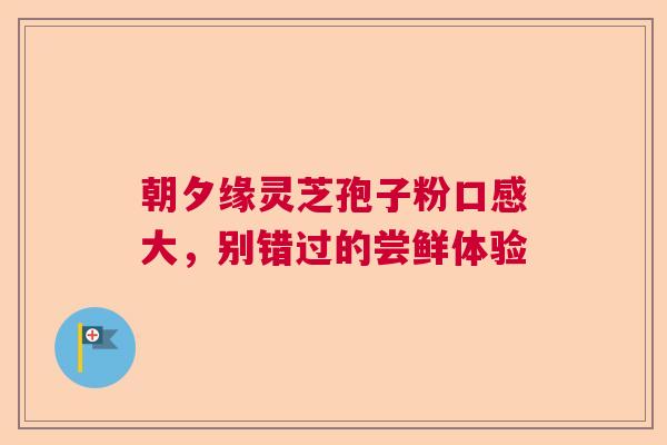 朝夕缘灵芝孢子粉口感大，别错过的尝鲜体验
