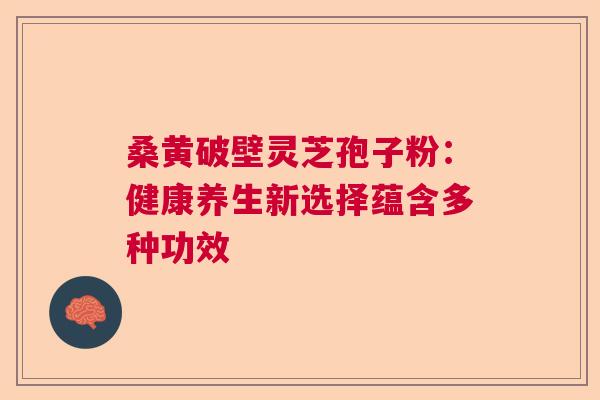 桑黄破壁灵芝孢子粉：健康养生新选择蕴含多种功效