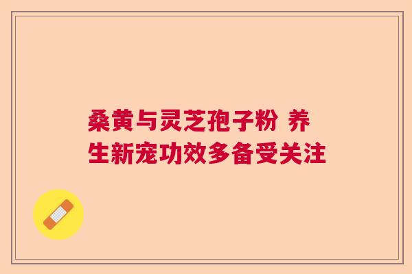 桑黄与灵芝孢子粉 养生新宠功效多备受关注
