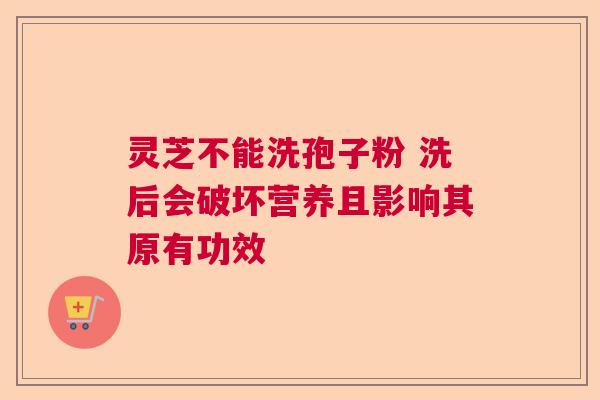 灵芝不能洗孢子粉 洗后会破坏营养且影响其原有功效