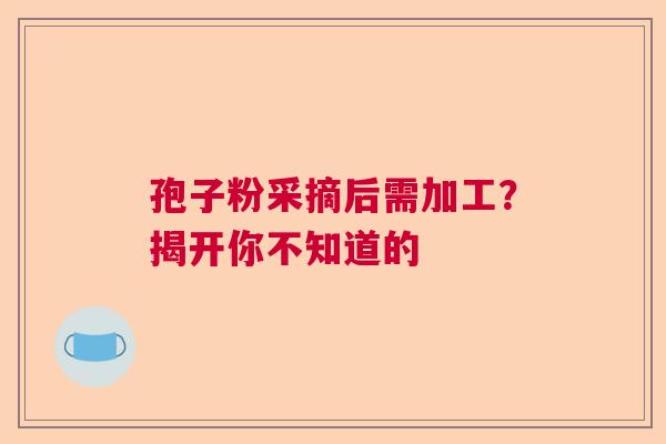 孢子粉采摘后需加工？揭开你不知道的